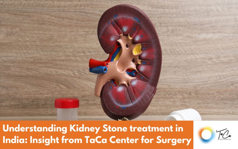 Best Kidney Stone treatment in India